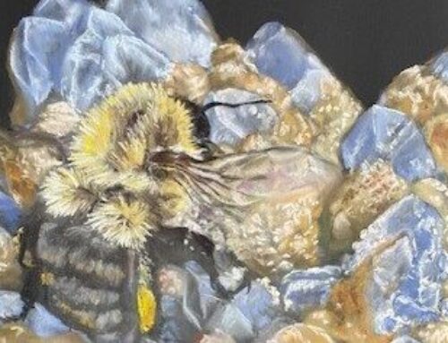 Beekind: The Art, Myth, and Magic of Bees